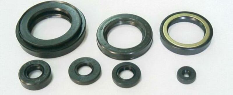 TOURMAX Engine Oil Seals Set