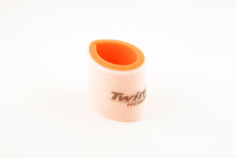 TWIN AIR Air Filter - 150319