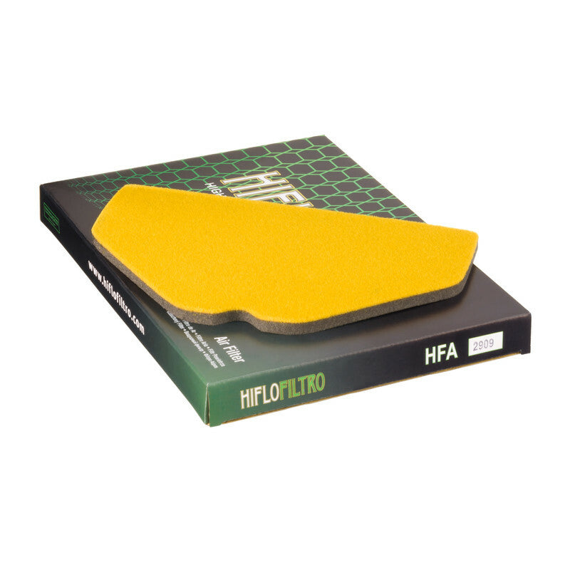 HIFLOFILTRO Air Filter - HFA2909