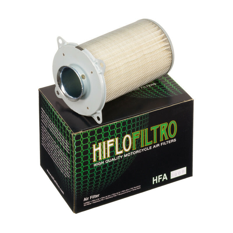 HIFLOFILTRO Air Filter - HFA3909
