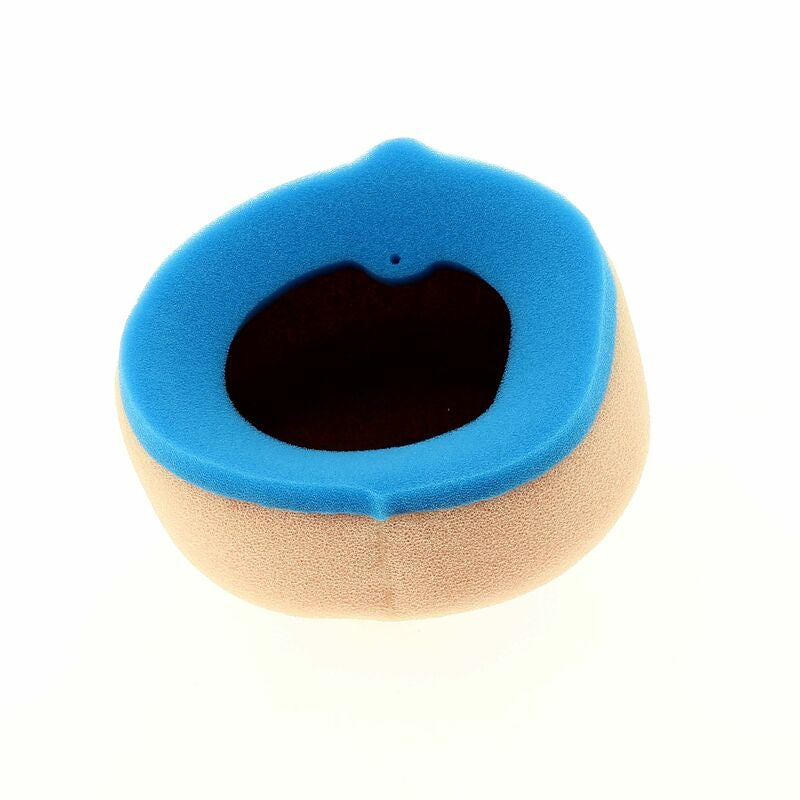 TECNIUM Air Filter - 5423