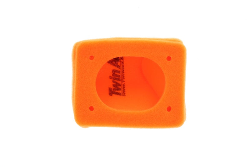 TWIN AIR Air Filter - 158013