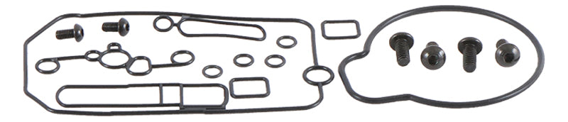 ALL BALLS Carburetor Repair Kit