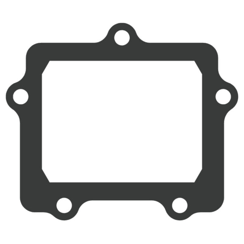 VFORCE Valve Seal