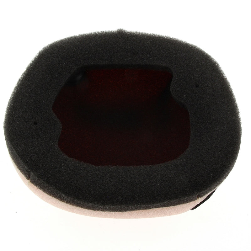 TECNIUM Air Filter - 51513