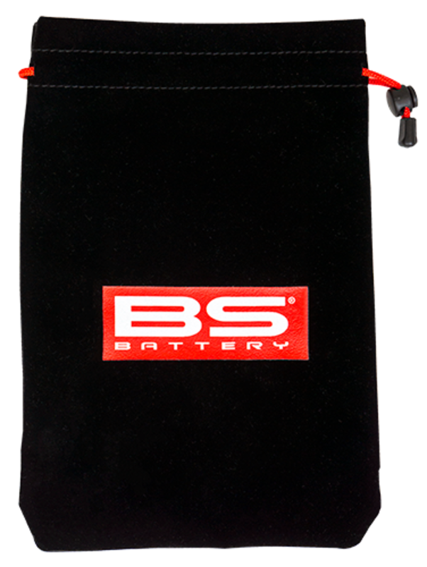 BS BATTERY BS30 Smart Battery Charger - 12V 3A