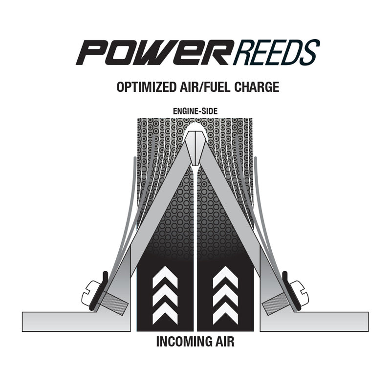 BOYESEN Replacement Power Reeds