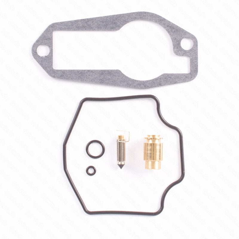 TOURMAX Carburetor Repair Kit