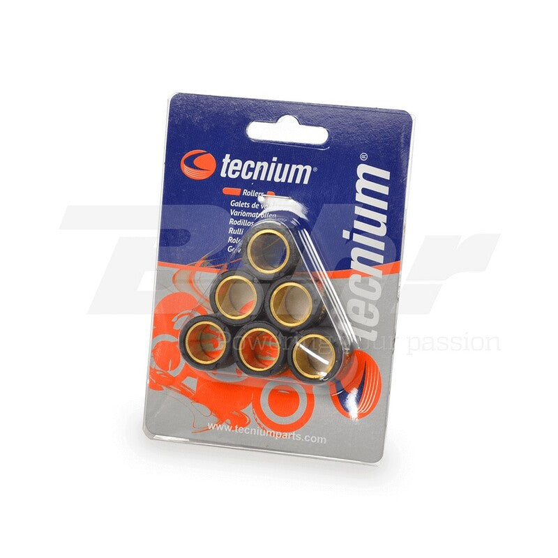 TECNIUM Variator Rollers 25x22,2mm 20gr - Set of 6
