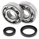 ALL BALLS Crankshaft Bearing & Oil Seal Kit