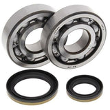 ALL BALLS Crankshaft Bearing & Oil Seal Kit