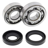ALL BALLS Crankshaft Bearing & Oil Seal Kit