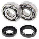 ALL BALLS Crankshaft Bearing & Oil Seal Kit