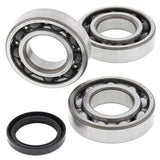 ALL BALLS Crankshaft Bearing & Oil Seal Kit