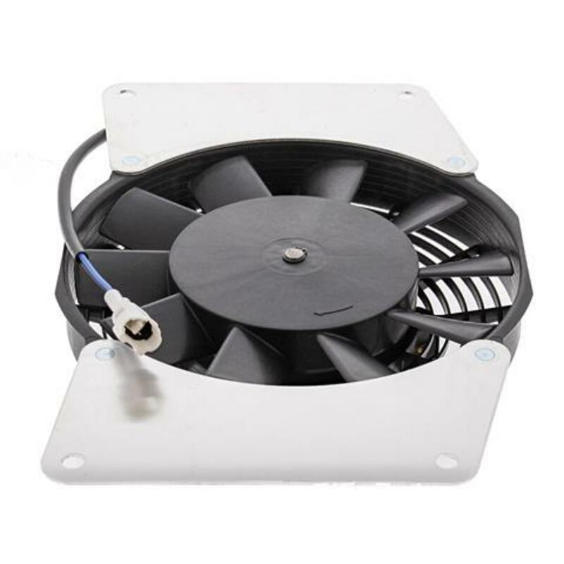 ALL BALLS Radiator Fan