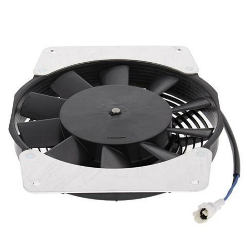 ALL BALLS Radiator Fan