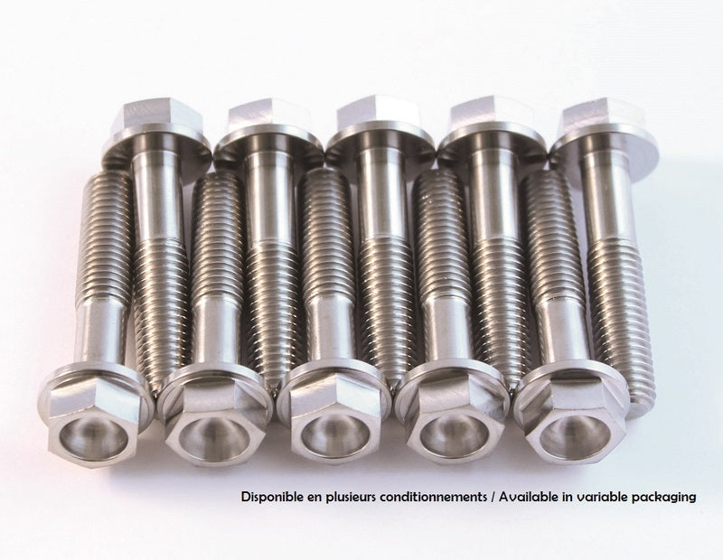 SCAR Titanium Screw Kit M6x12 By 2