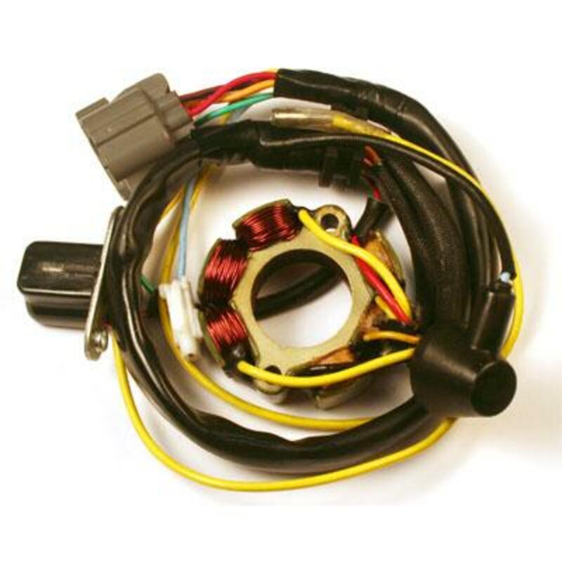 ELECTROSPORT Stator & Lightning Coil - Suzuki RM-Z250