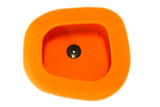 TWIN AIR Air Filter - 151124