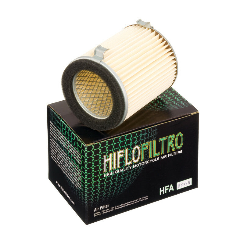 HIFLOFILTRO Air Filter - HFA3905