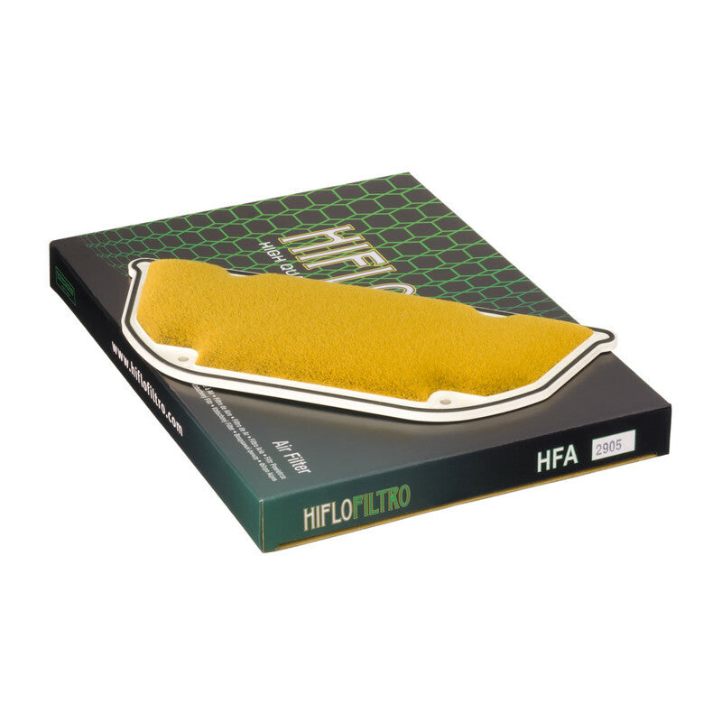 HIFLOFILTRO Air Filter - HFA2905
