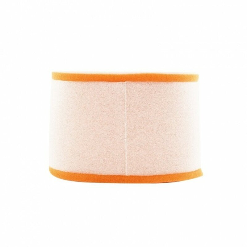 TWIN AIR Air Filter - 156005