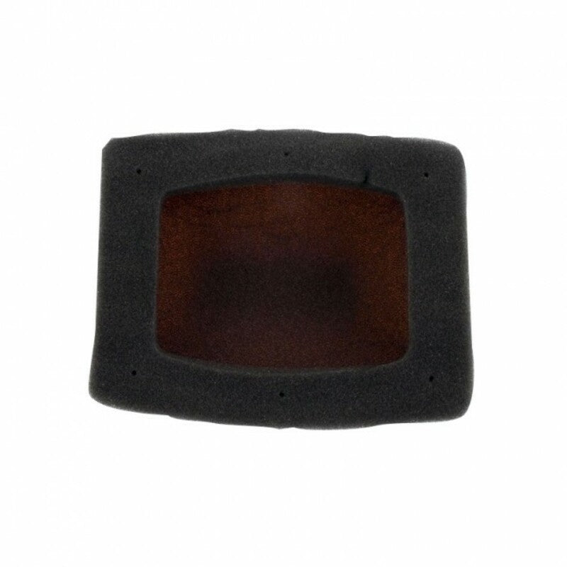 TWIN AIR Air Filter Kit + Inner Cage - 157033C