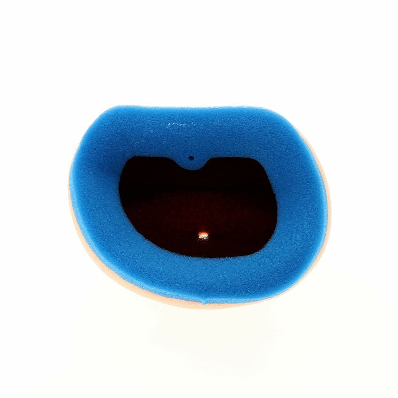 TECNIUM Air Filter - 5342