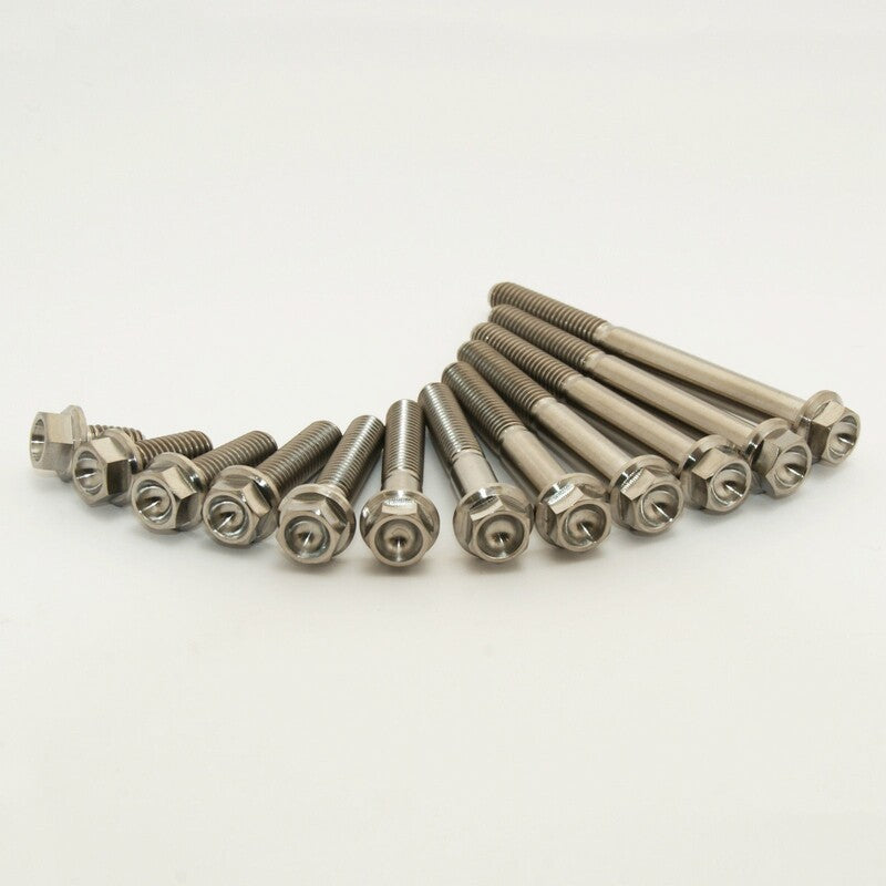 SCAR Engine Screw Kit Titanium 39 Screws