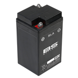 BS BATTERY SLA Battery Maintenance Free Factory Activated - B49-6
