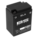 BS BATTERY SLA Battery Maintenance Free Factory Activated - B38-6A