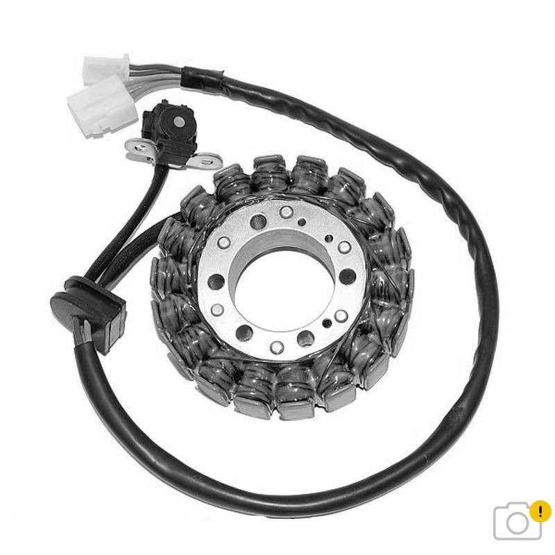 ELECTROSPORT Stator - Suzuki 650 Gladius