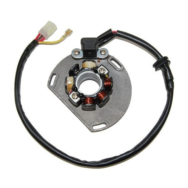 ELECTROSPORT Stator & Lightning Coil - KTM