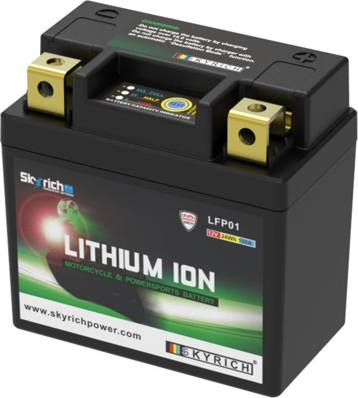 SKYRICH Battery Lithium-Ion - LFP01