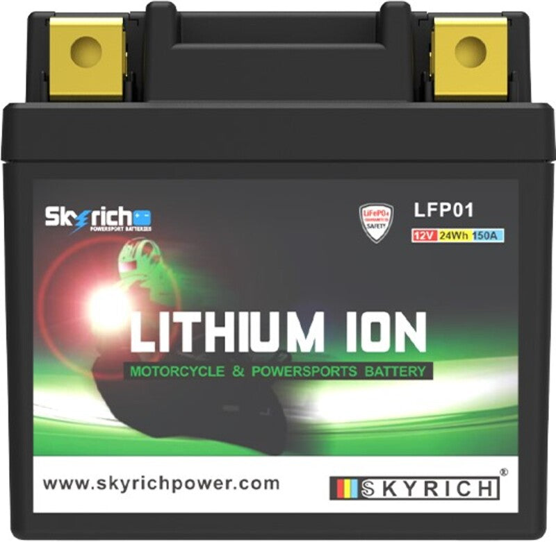 SKYRICH Battery Lithium-Ion - LFP01