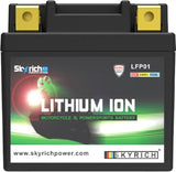 SKYRICH Battery Lithium-Ion - LFP01