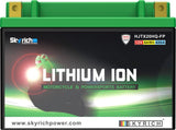 SKYRICH Battery Lithium-Ion - LTX20L