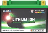 SKYRICH Battery Lithium-Ion - LTX20CH