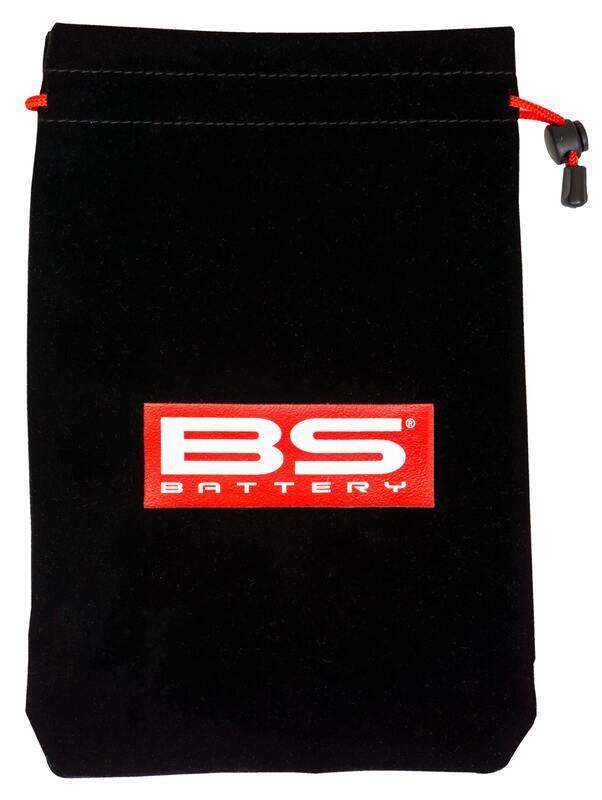 BS BATTERY BS10 Smart Battery Charger - 6V/12V 1A