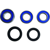 ALL BALLS Wheel Bearing Kit