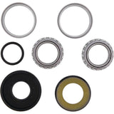 ALL BALLS Steering Shaft Bearing Kit